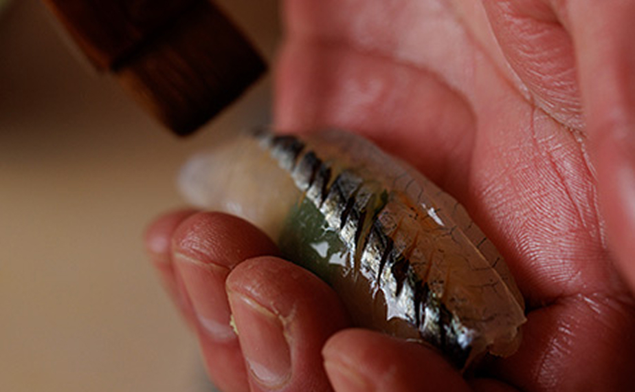 鮨を握っている手